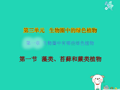 生物课件藻类、苔藓和蕨类植物课件(人教版生物)