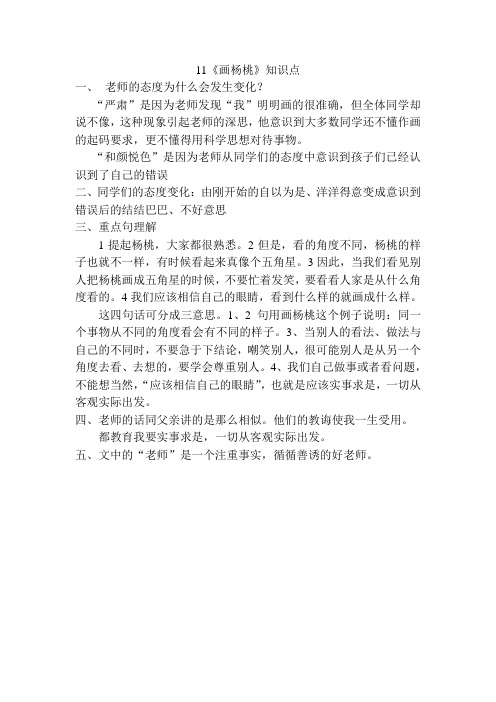 11画杨桃知识点