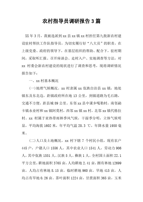 农村指导员调研报告三篇