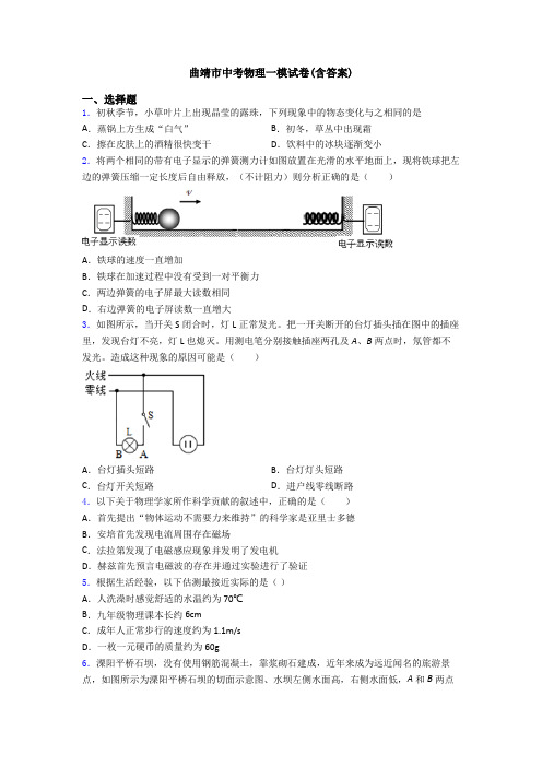 曲靖市中考物理一模试卷(含答案)