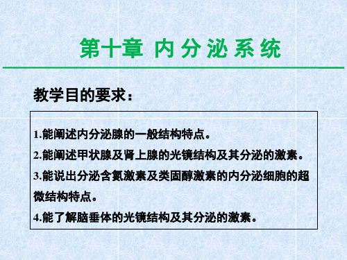 组织学与胚胎学课件-内分泌系统(1)