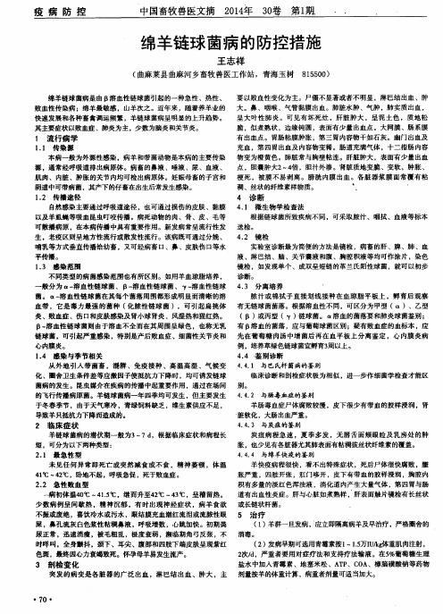 绵羊链球菌病的防控措施