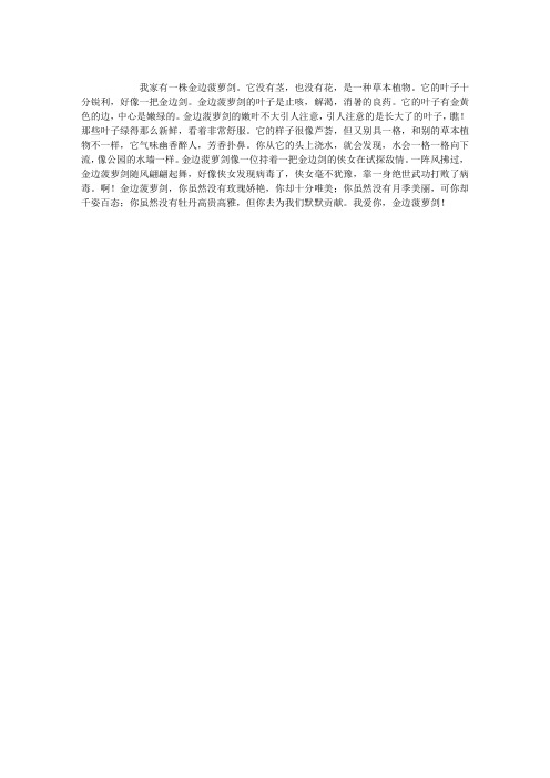 金边菠萝剑