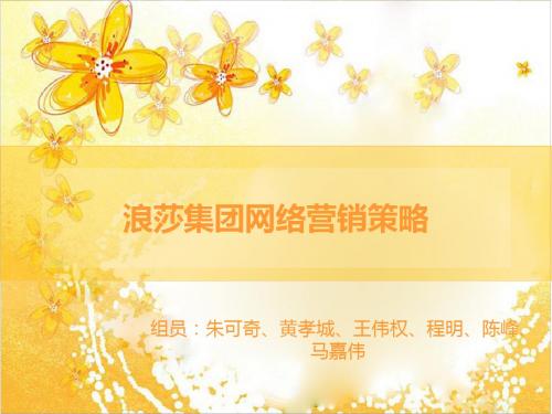 浪莎集团实施网络营销策略组合