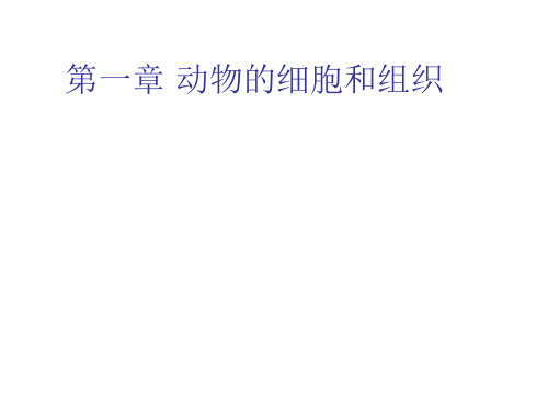 1 动物的细胞和组织