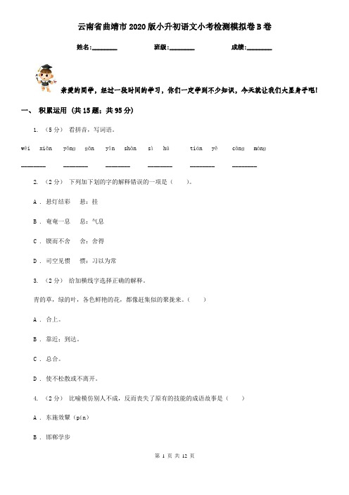 云南省曲靖市2020版小升初语文小考检测模拟卷B卷