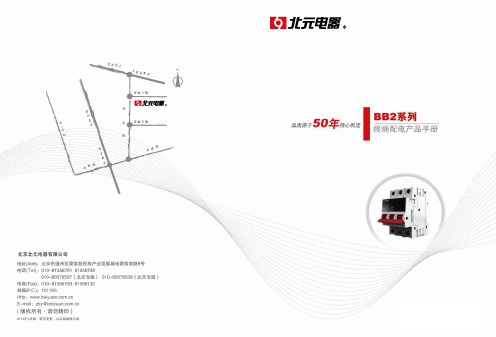 BB2-63系列-高分断