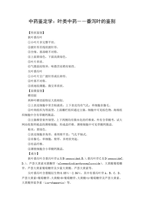 中药鉴定学：叶类中药――番泻叶的鉴别