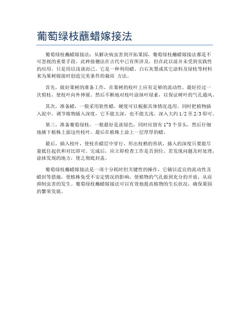 葡萄绿枝蘸蜡嫁接法