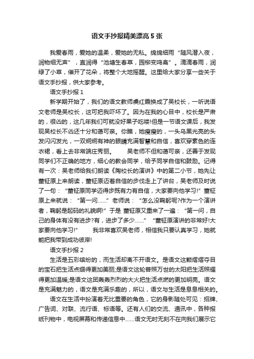 语文手抄报精美漂亮5张