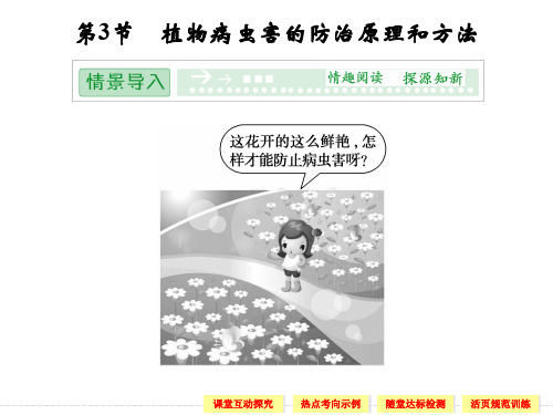人教版高中生物选修二2.3《植物病虫害的防治原理和方法》ppt课件