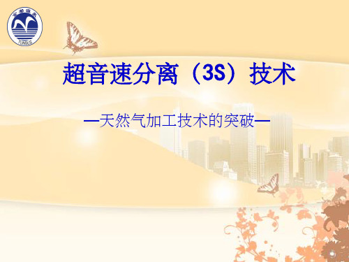 新超音速分离技术(3S)简介3S