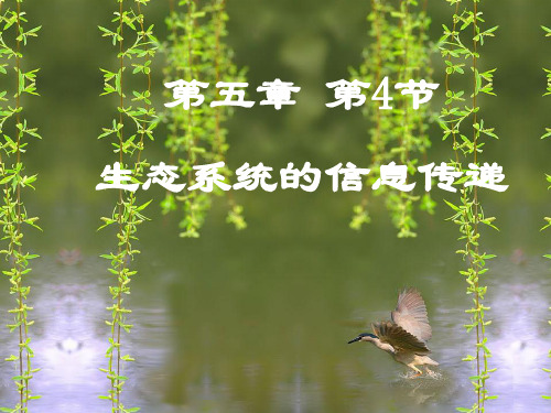 第五章第4节生态系统的信息传递名校课件