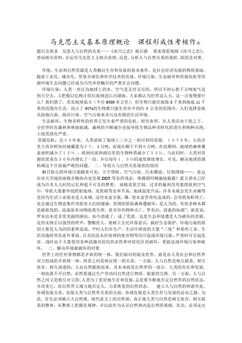 马克思主义基本原理概论    课程形成性考核作业