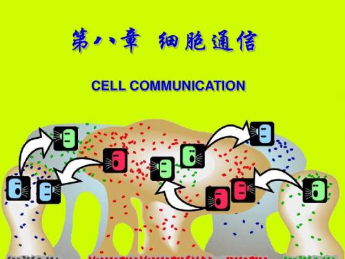 细胞生物学：第八章细胞通信