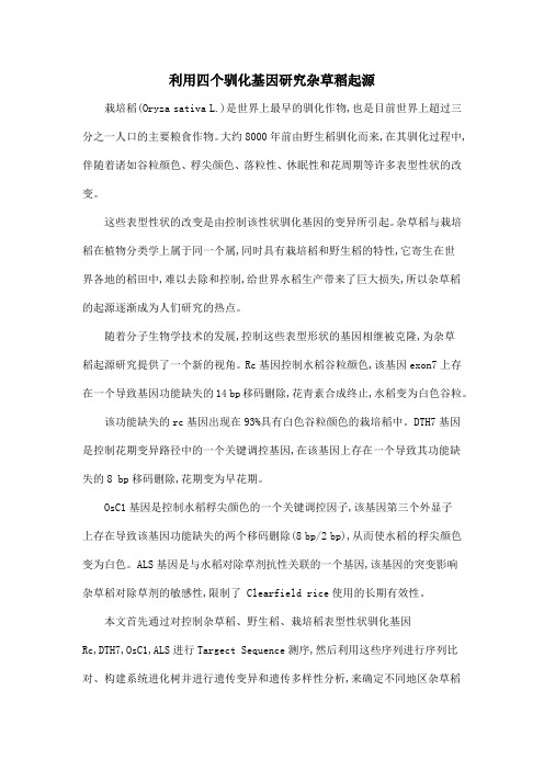 利用四个驯化基因研究杂草稻起源
