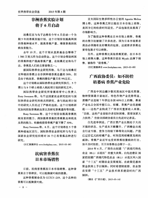 抗病害香蕉在日本市场销售