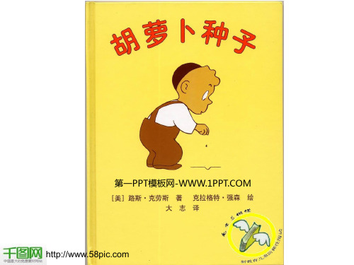 胡萝卜种子PPT