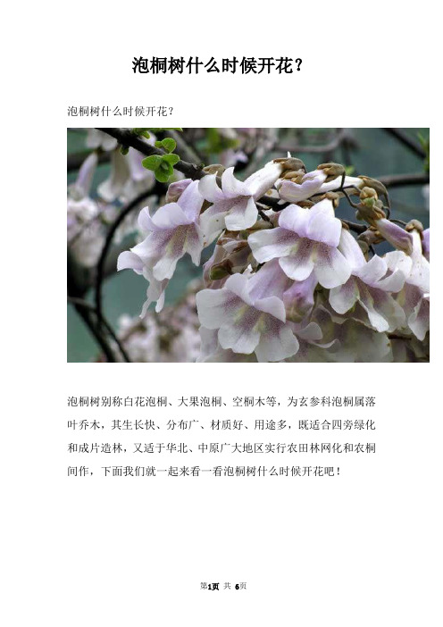 泡桐树什么时候开花？