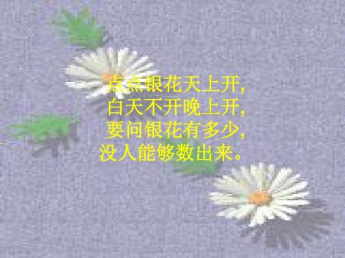 小学语文二年级下：数星星的孩子ppt课件