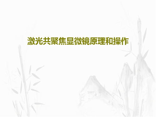 激光共聚焦显微镜原理和操作49页PPT