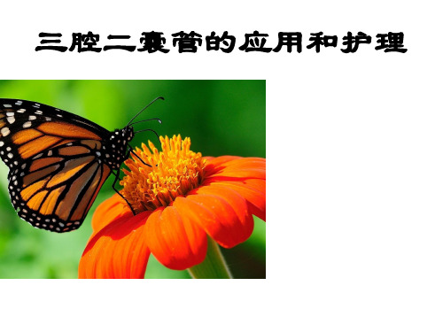三腔二囊管的应用和护理