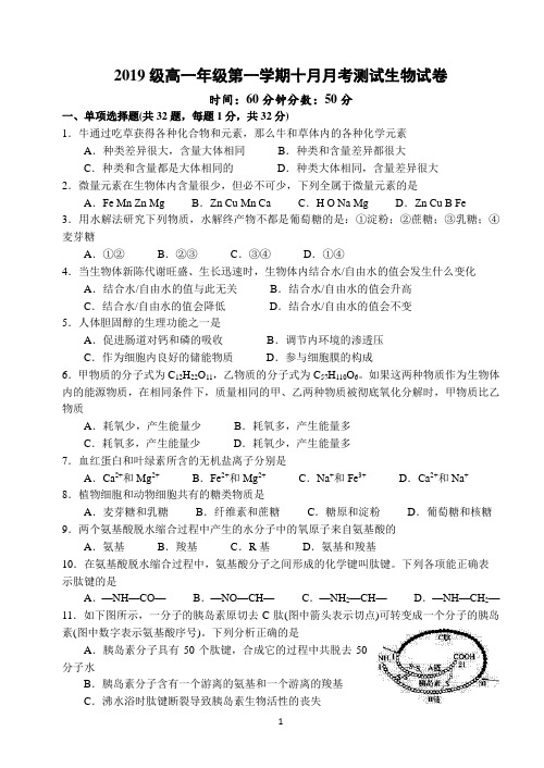 2019级高一年级第一学期十月月考测试生物试卷