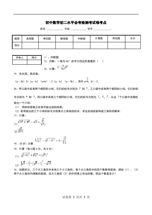 初中数学初二水平会考检测考试卷考点.doc