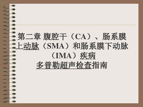 第二章腹腔干肠系膜上动脉和肠系膜下动脉疾病PPT课件