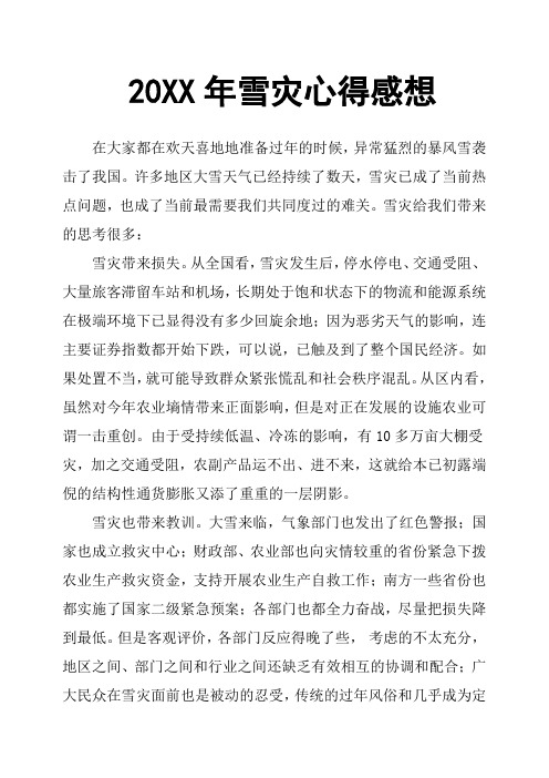 20XX年雪灾心得感想