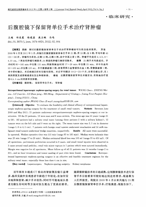 后腹腔镜下保留肾单位手术治疗肾肿瘤