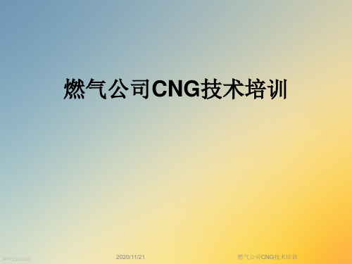燃气公司CNG技术培训