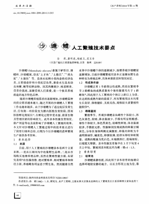 沙塘鳢人工繁殖技术要点
