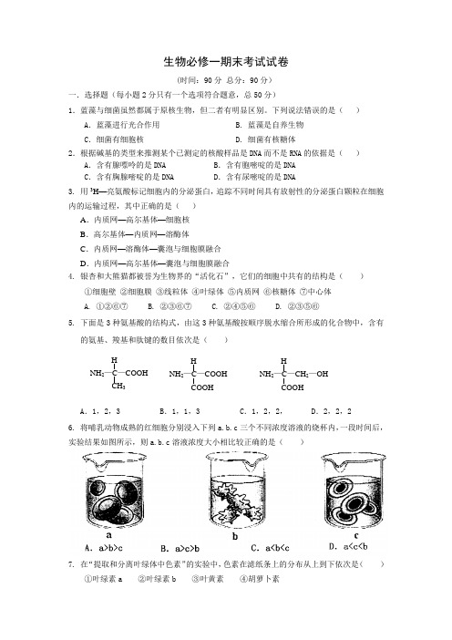 生物必修一期末考试题