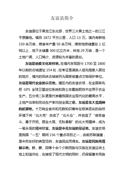 友谊简介2