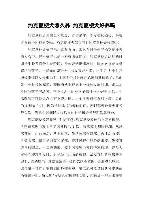 约克夏梗犬怎么养 约克夏梗犬好养吗