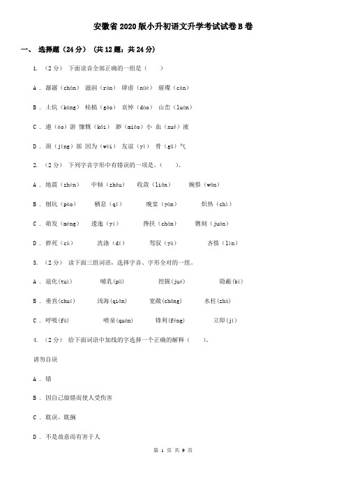 安徽省2020版小升初语文升学考试试卷B卷