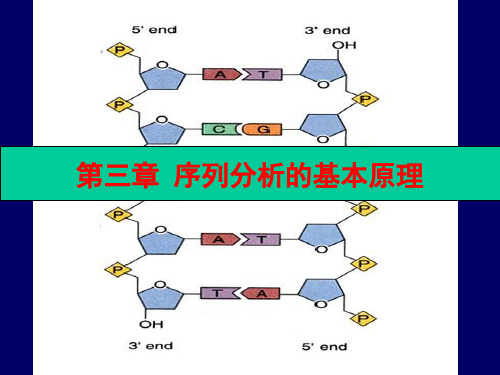 序列分析的原理和方法+结构的预测+全序列分析和进化分析