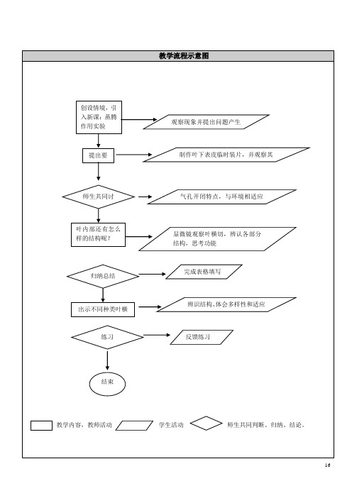 教学流程示意图
