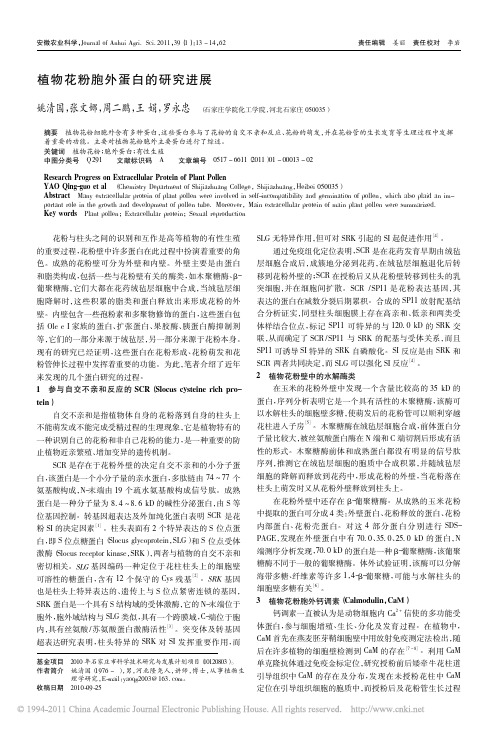植物花粉胞外蛋白的研究进展