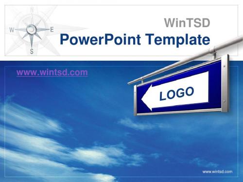 WinTSD 经典PPT模板三：WinTSD _PowerTemplate3