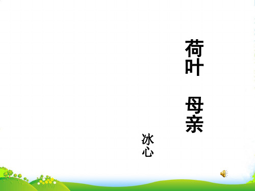 人教七年级语文上册：4荷叶母亲 课件(共10张PPT)