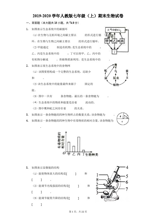 2019-2020学年人教版七年级(上)期末生物试卷(附解析)