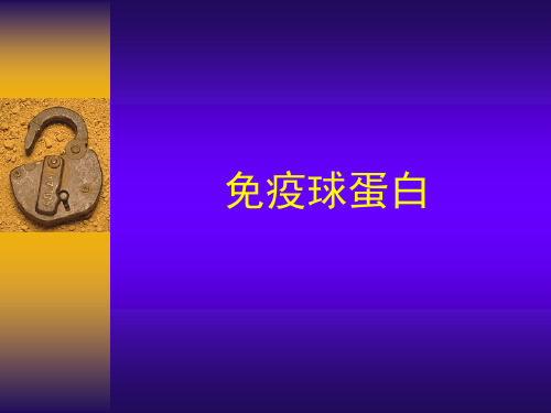 免疫球蛋白精品课件