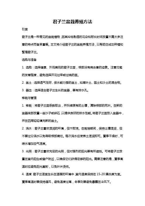 君子兰盆栽养殖方法