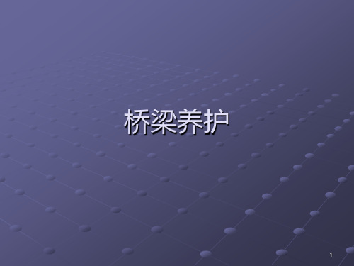 桥梁养护PPT课件