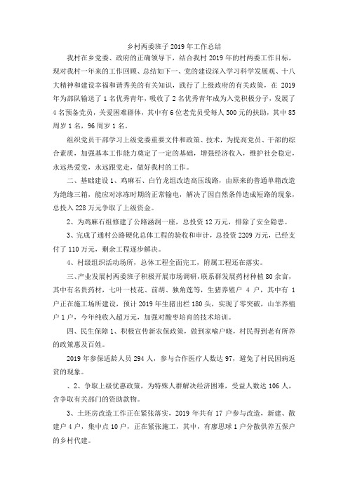 最新-乡村两委班子2019年工作总结 精品