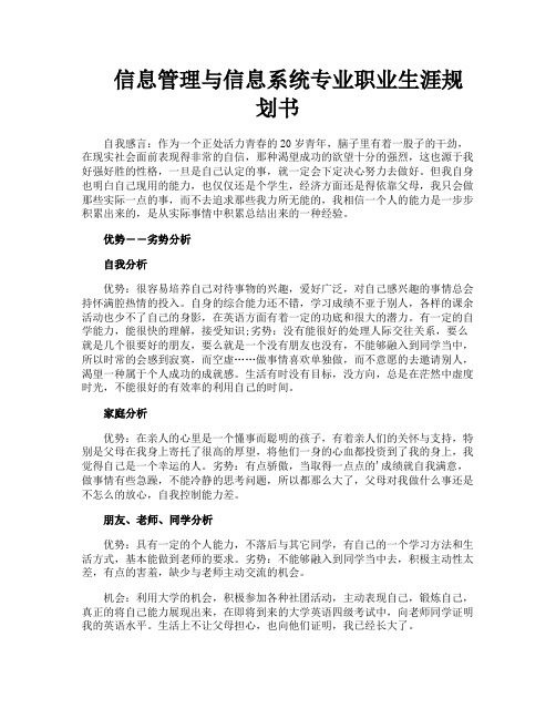 信息管理与信息系统专业职业生涯规划书