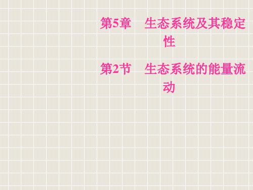 2018-2019学年高中生物 第五章 生态系统及其稳定性 第2节 生态系统的能量流动优质课件 新人