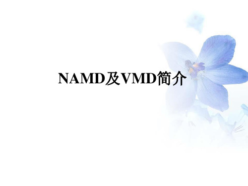 NAMD和VMD简介